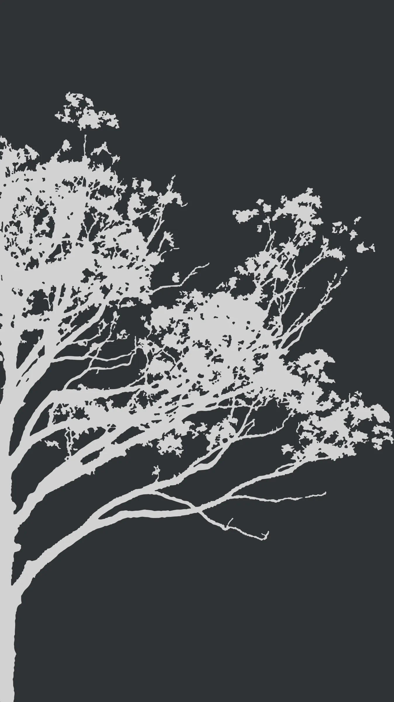 Motif : Arbre 02, dessin seul sans mise en situation