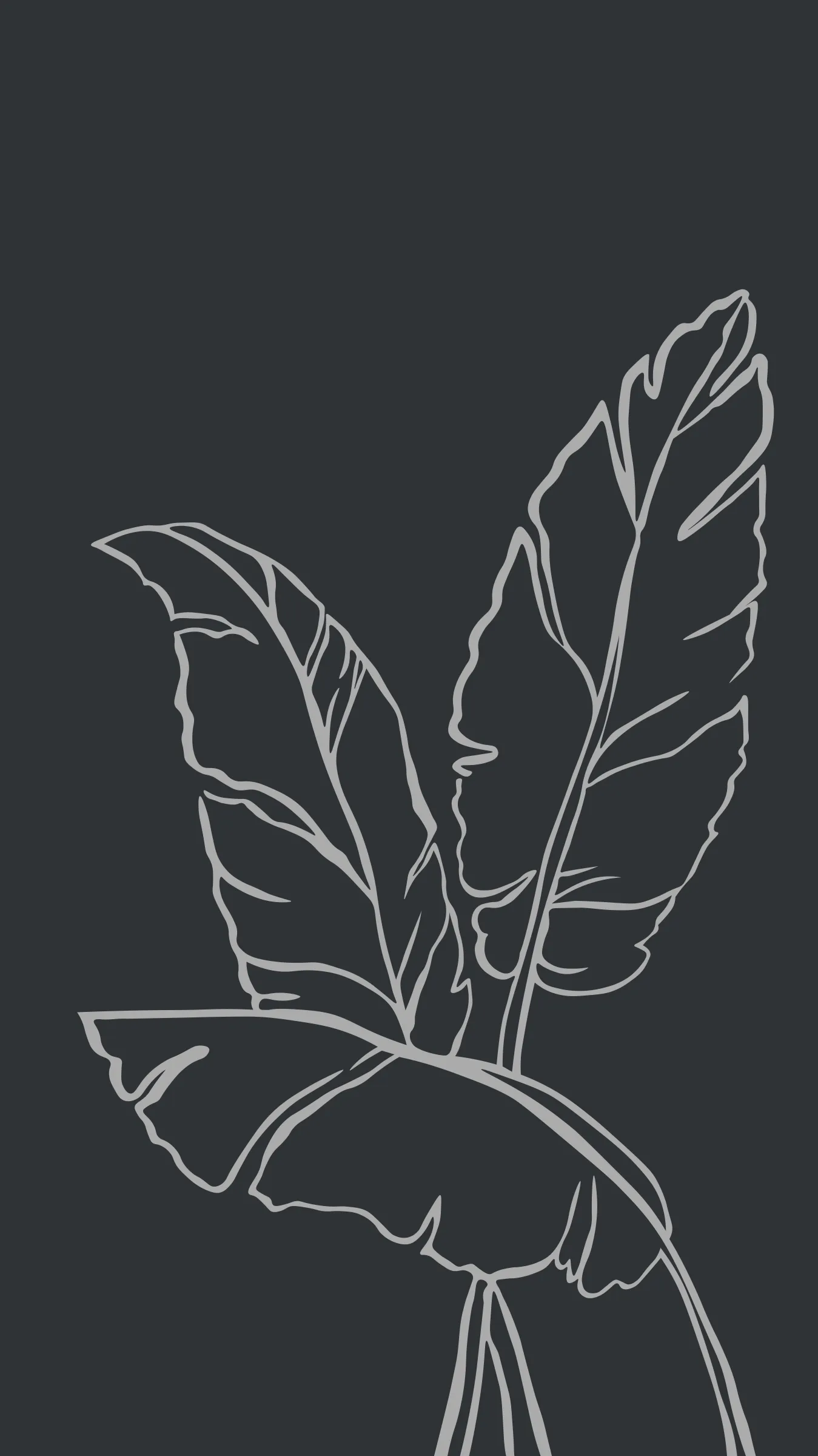 Motif : Grandes feuilles, dessin seul sans mise en situation